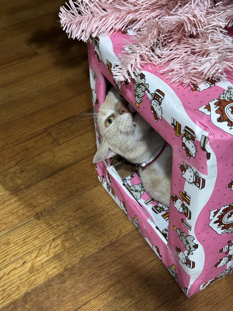 Steph 💓 tweet media