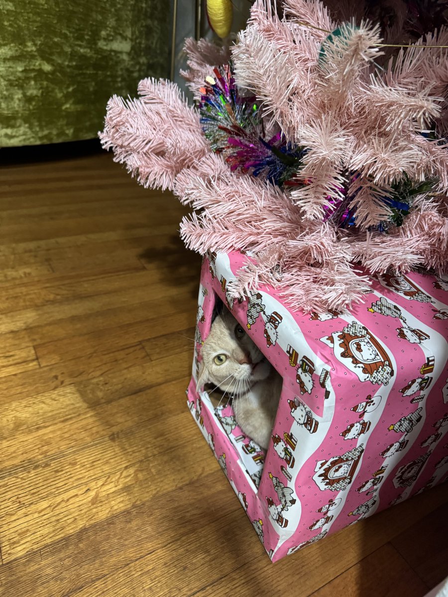 Steph 💓 tweet media