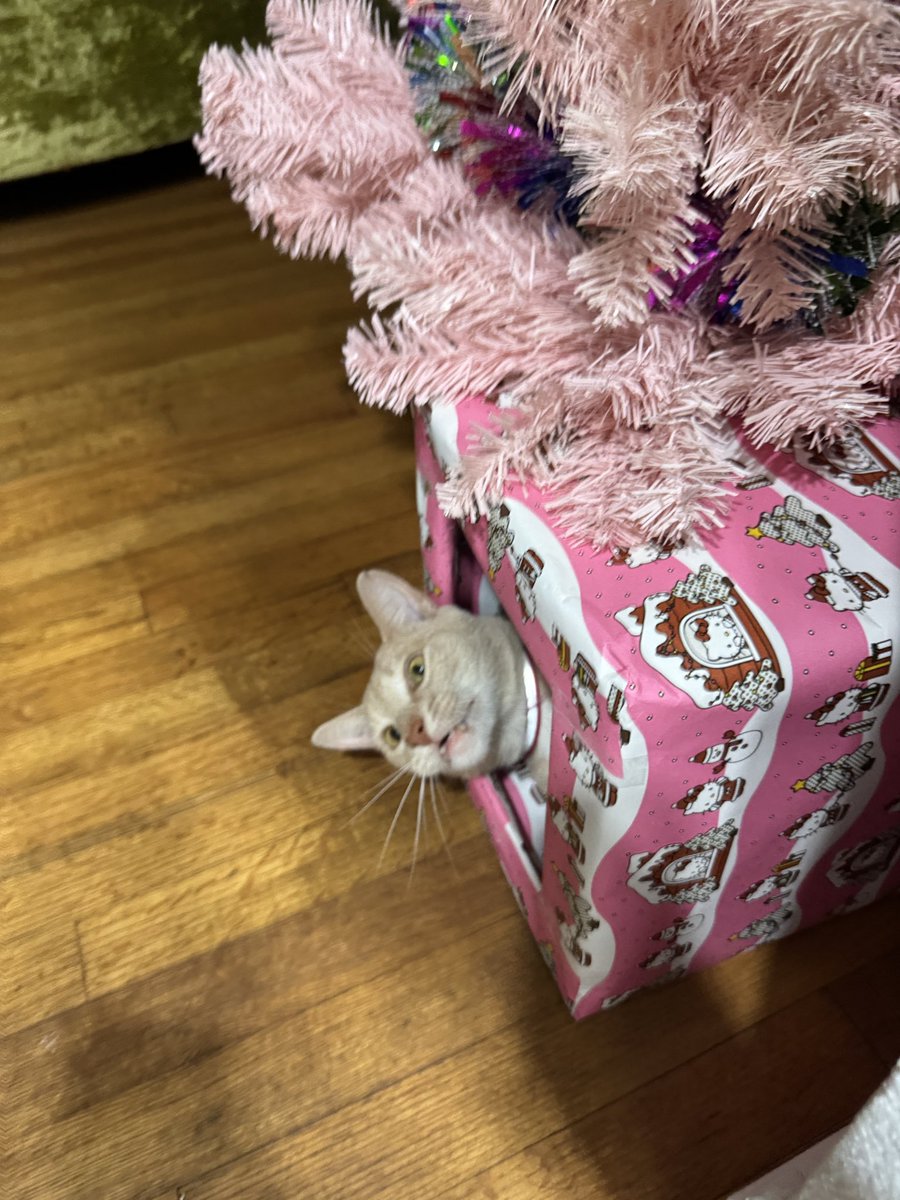 Steph 💓 tweet media