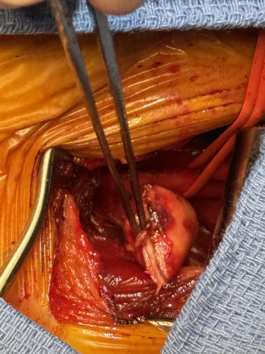 frank arko tweet media