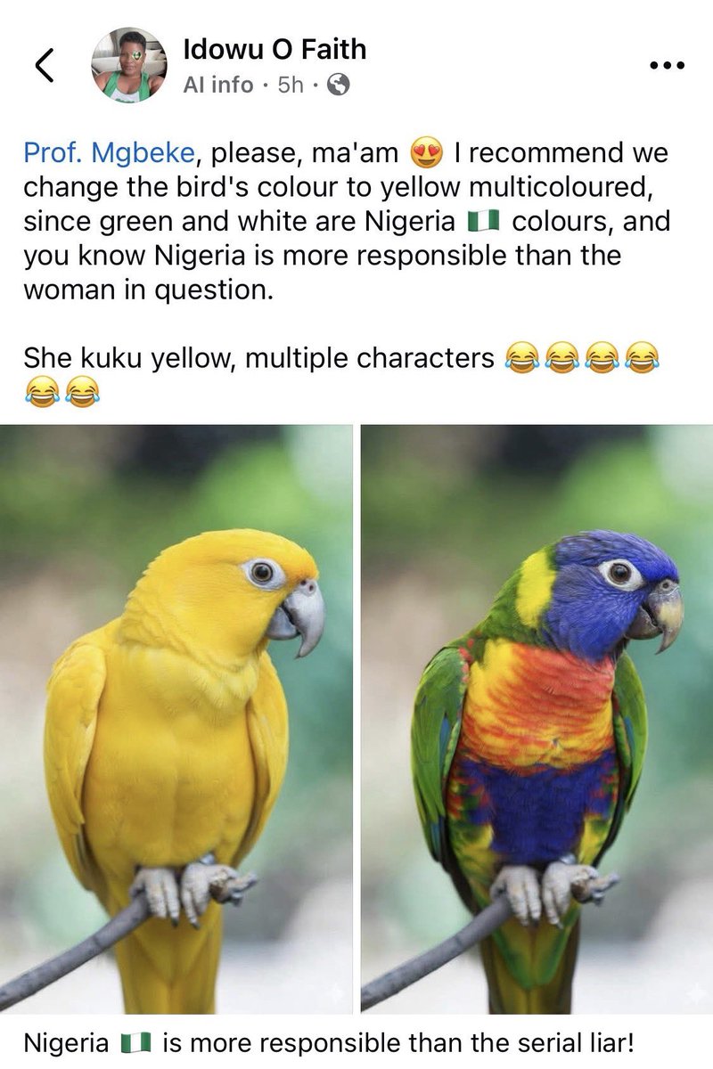 Prof. Mgbeke tweet media