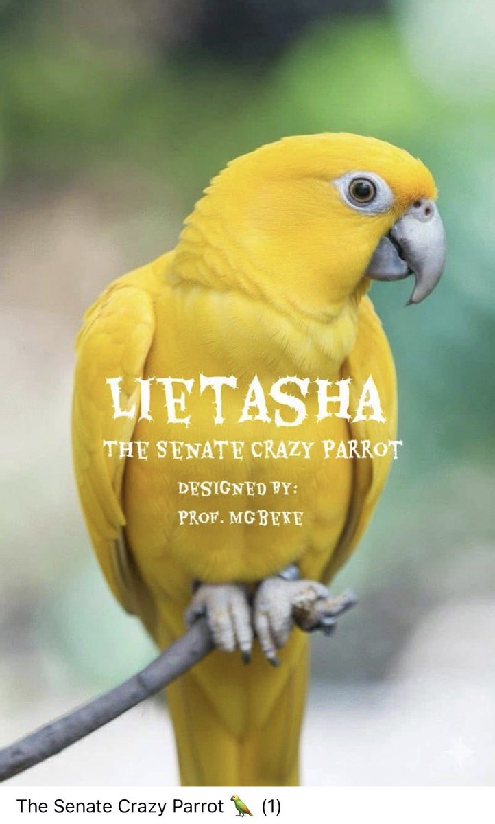 Prof. Mgbeke tweet media