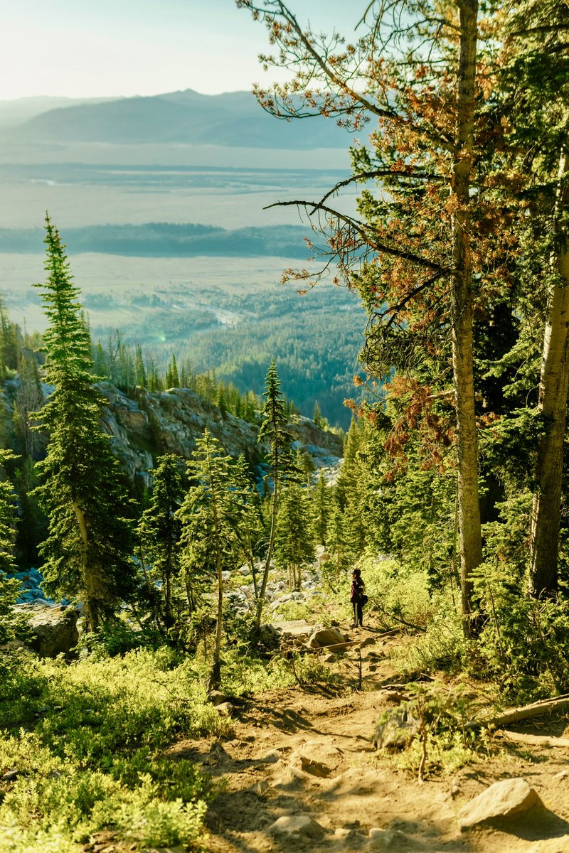 God's Country tweet media