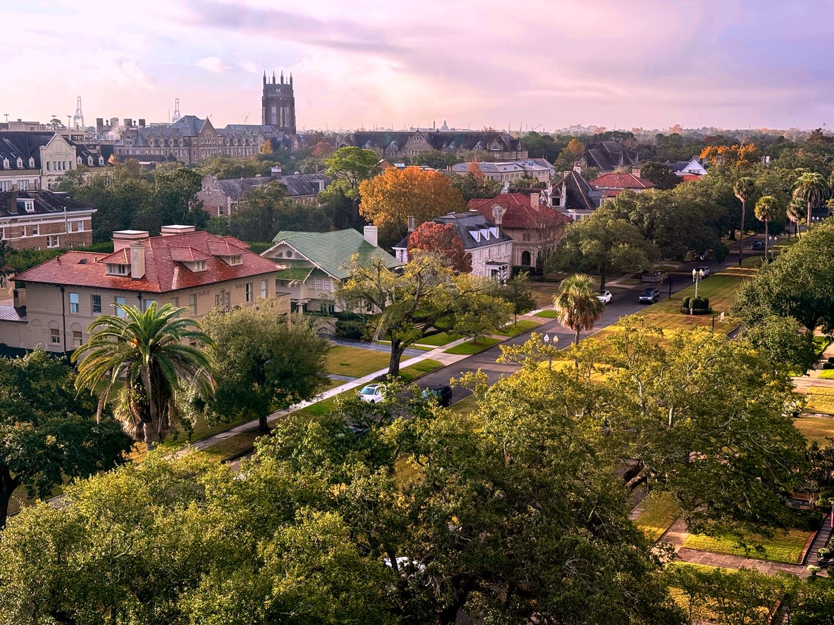 DavidMora's tweet image. Always stop to appreciate the gorgeous views when visiting @Howard_Tilton at @Tulane! 🍃🍂🍁📚

#NewOrleans #Tulane