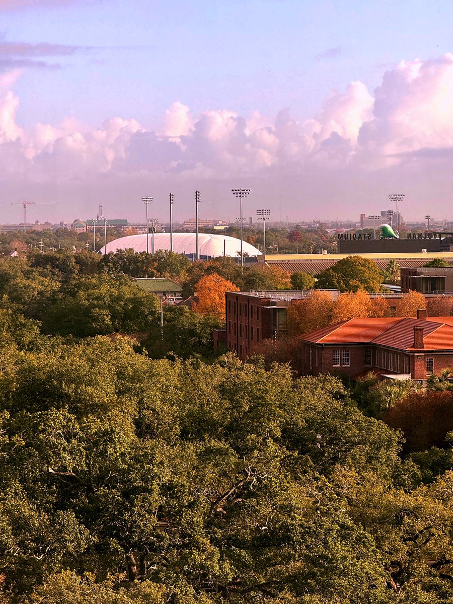 DavidMora's tweet image. Always stop to appreciate the gorgeous views when visiting @Howard_Tilton at @Tulane! 🍃🍂🍁📚

#NewOrleans #Tulane
