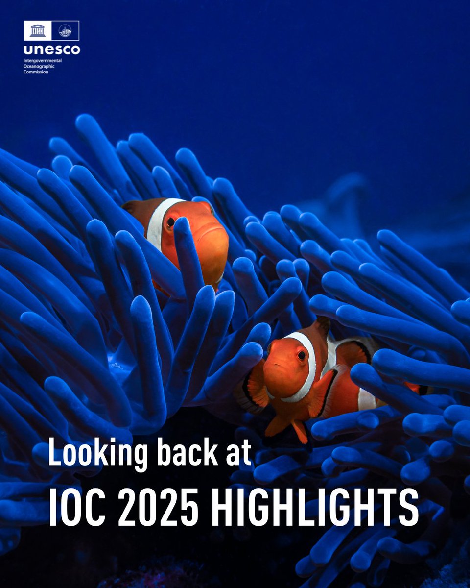 Intergovernmental Oceanographic Commission -UNESCO tweet media