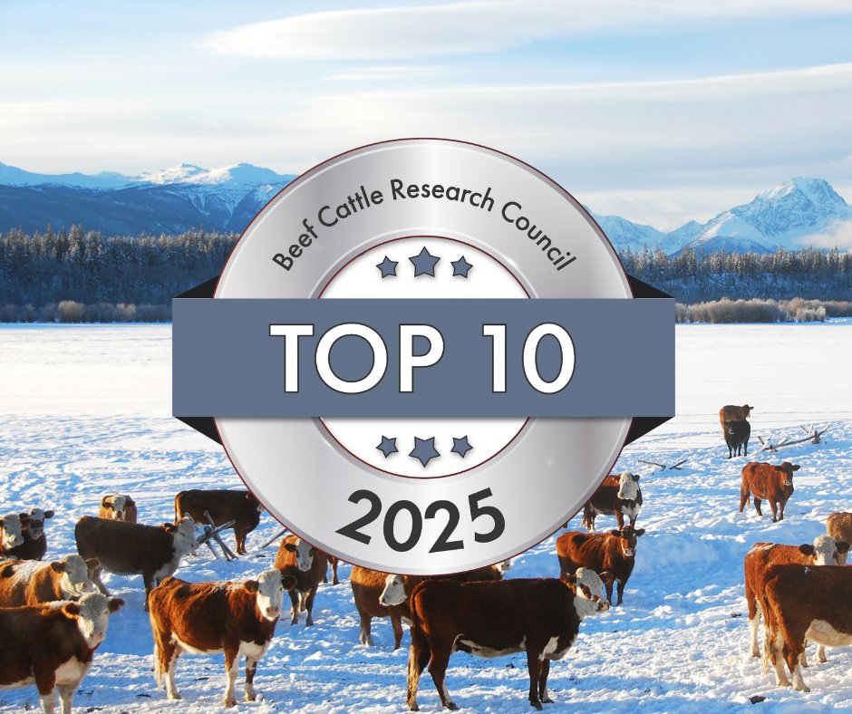 Beef Cattle Research Council tweet media