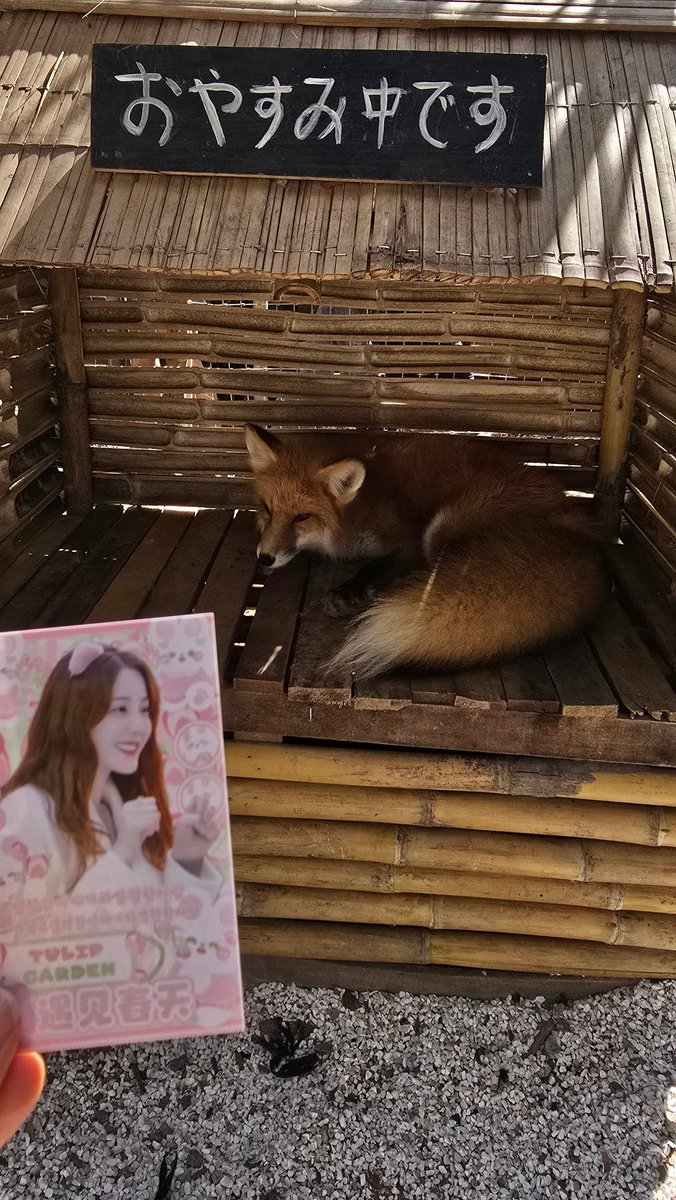 lovedidi ❤️🍒🌹💚ประทีปรักเหนือสองภพ tweet media