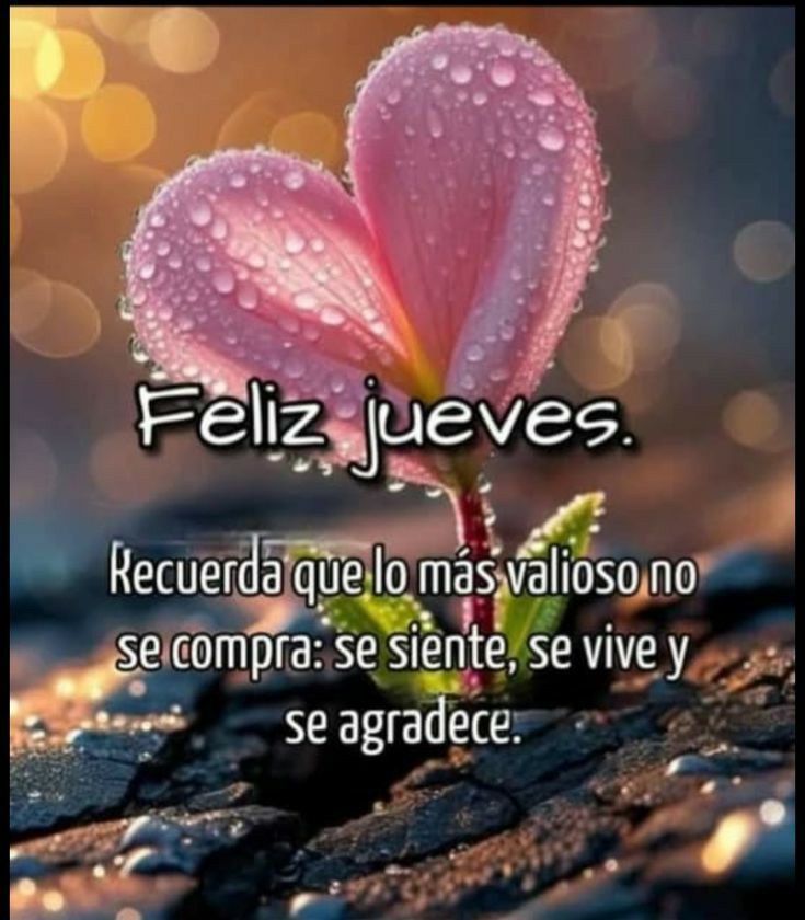 DI_AzucaryMiel's tweet photo. ° 。 ° ˛˚˛ * _Π_____**˚🎅💖🎄
˚ ˛ •˛•˚ */______/~\。˚ ˚ ░
˚ ˛ •˛• ˚ | 田田 |門 ღ ღ
🎅💖🎄✿░(¯`:´¯)░✿💖
#FelizJuevesATodos
1️⃣8️⃣🎄1️⃣2️⃣🎄2️⃣5️⃣
™️#AzucaryMiel
#Comenzamos
Dinámica de Fav ♥️
#LikeXLike ♥️ https://t.co/VbPqAB7Ze6