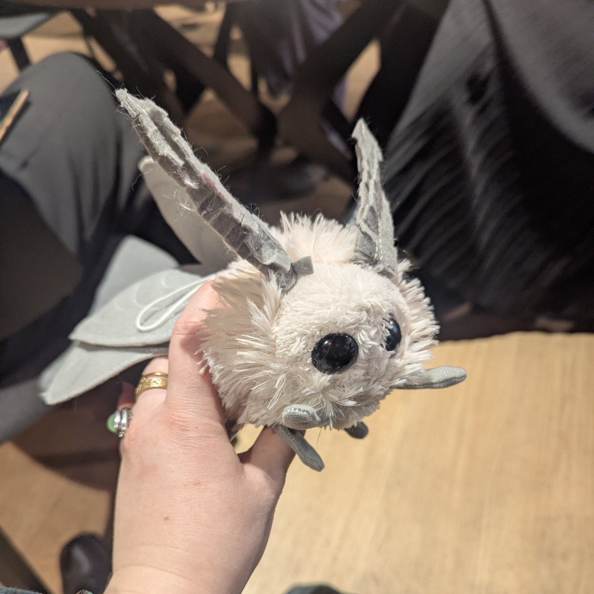 теперь у меня тоже есть надорская моль джеймс!!!