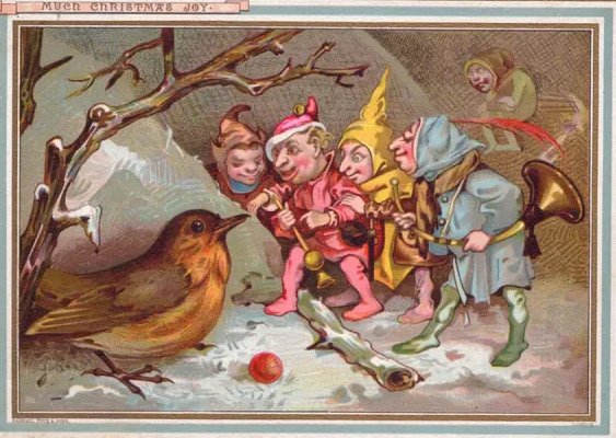 P_J_Richards's tweet photo. 🎄🍓🎄Share a berry with the birds and Fae folk this festive #FolkloreThursday! https://t.co/ydBToGQn3k