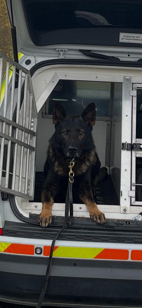 GMP Tactical Dog Unit tweet media