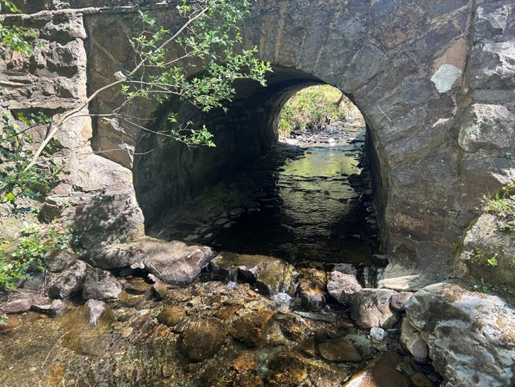 Inland Fisheries Ireland tweet media