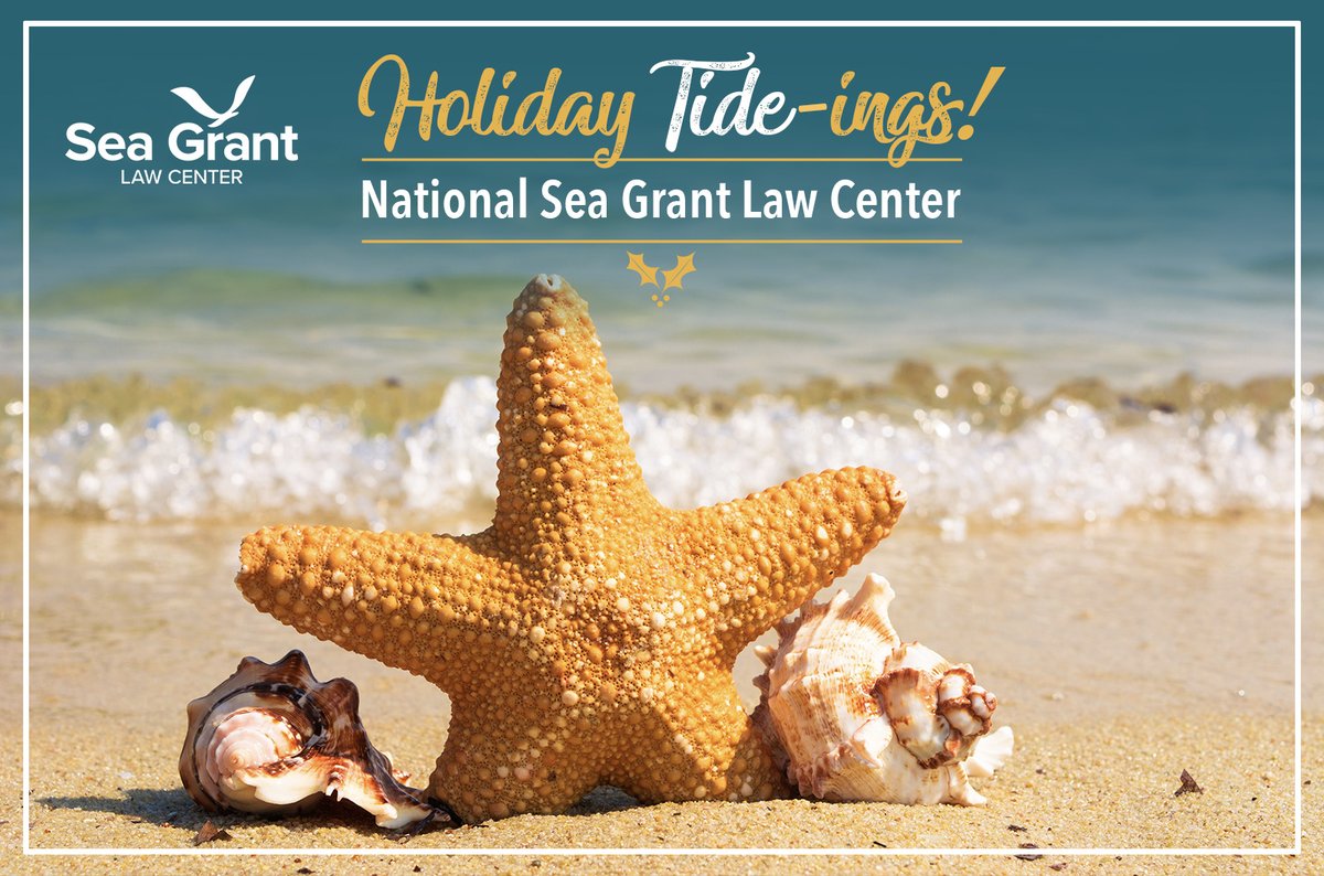 View the NSGLC News for December 2025 and subscribe! 🗞️

➡️ conta.cc/4aiIBNX