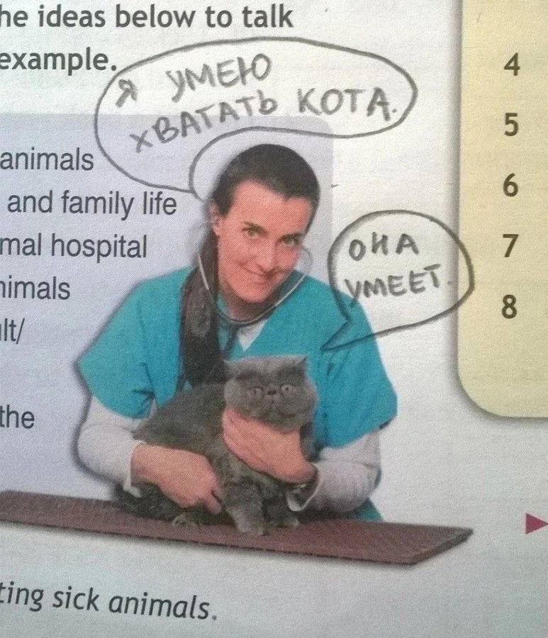 juliamayko's tweet image. 