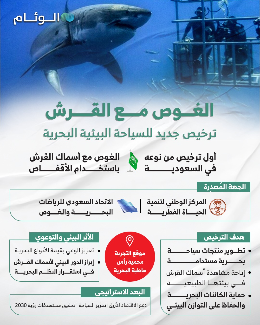 إنفوجرافيك | الغوص مع القرش.. ترخيص جديد للسياحة البيئية البحرية 