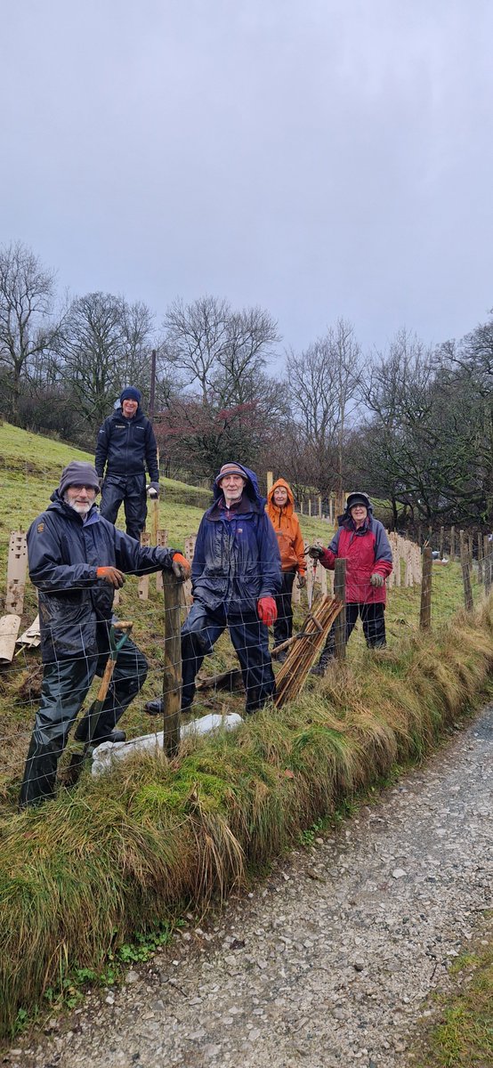 Friends of the Lake District tweet media