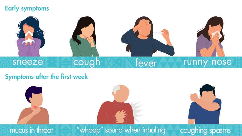 HerStoryAL's tweet image. Protect your whanau from whooping cough and get to know the symptoms in our article here southpointfamilydoctors.co.nz/whooping-cough/