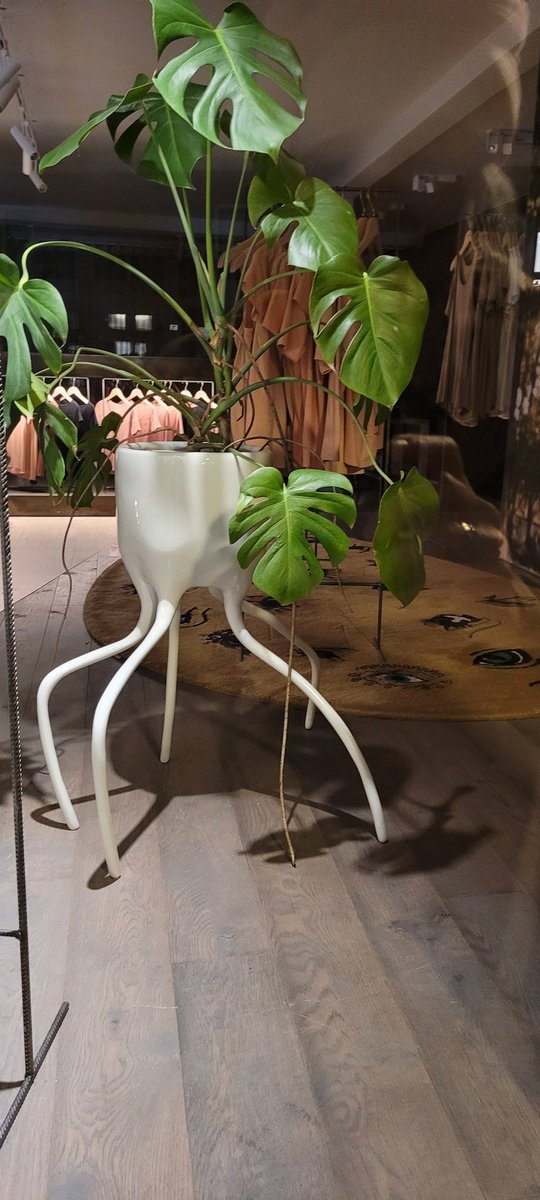 een oude traditie om poten van levende wezens onder potten,  stoelen en tafels te plaatsen.