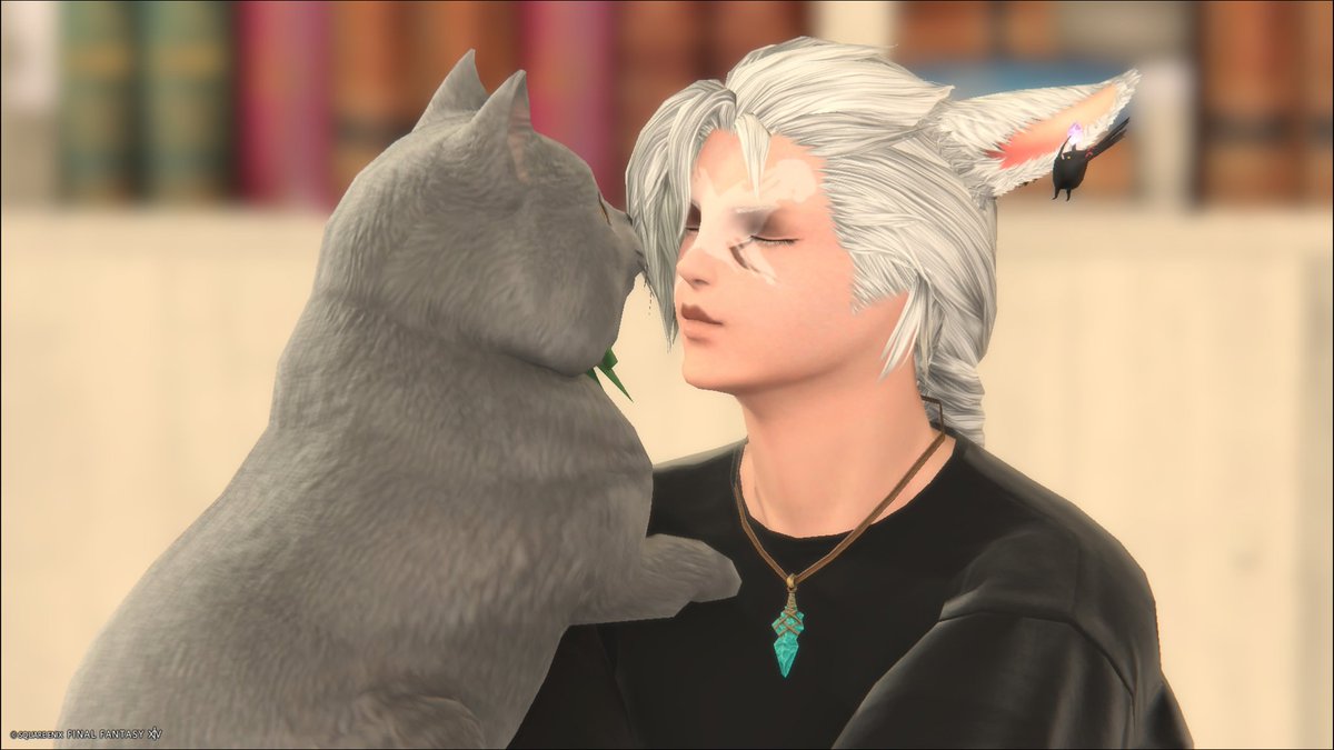 ff14_ridere's tweet photo. 猫チューキャンセルが夢だった、ありがとうありがとう😚✨ https://t.co/O5UFzNJIGM