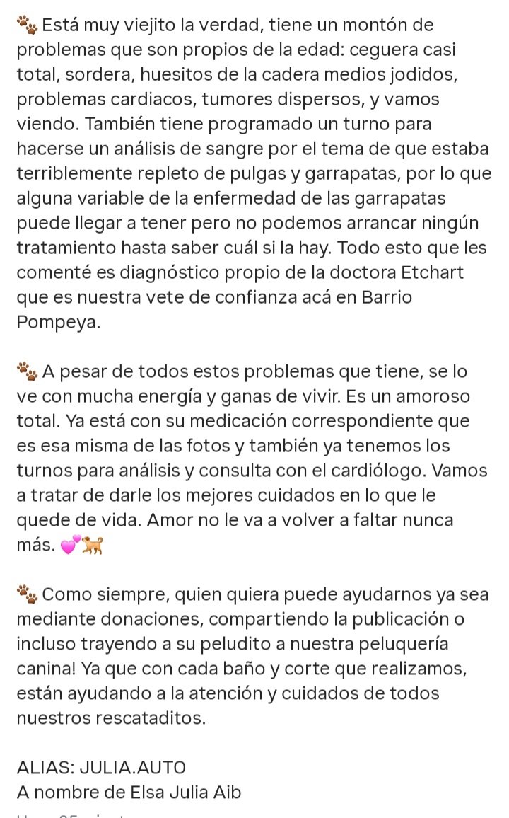 Nuevo rescatadito.❤️
Si podés colaborar con sus gastos 👇
Alias: JULIA.AUTO
