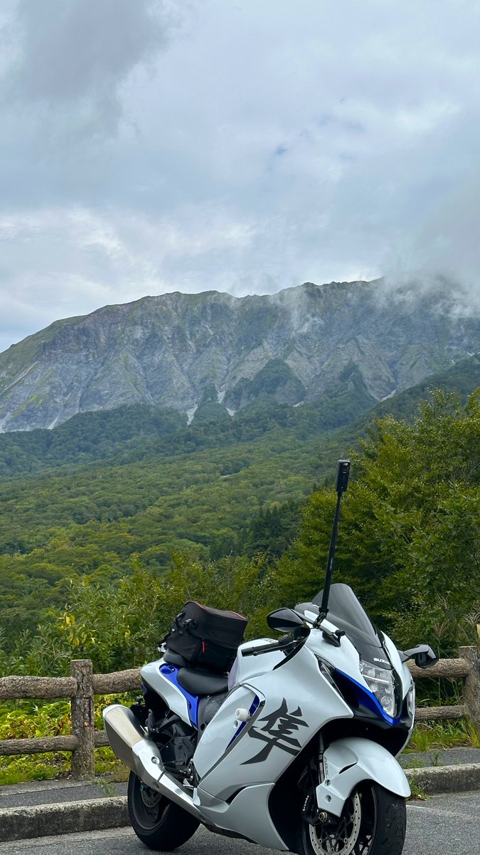236　とらちゃん トラちゃんの応援箱-野球1 - LINE スタンプ | LINE STORE