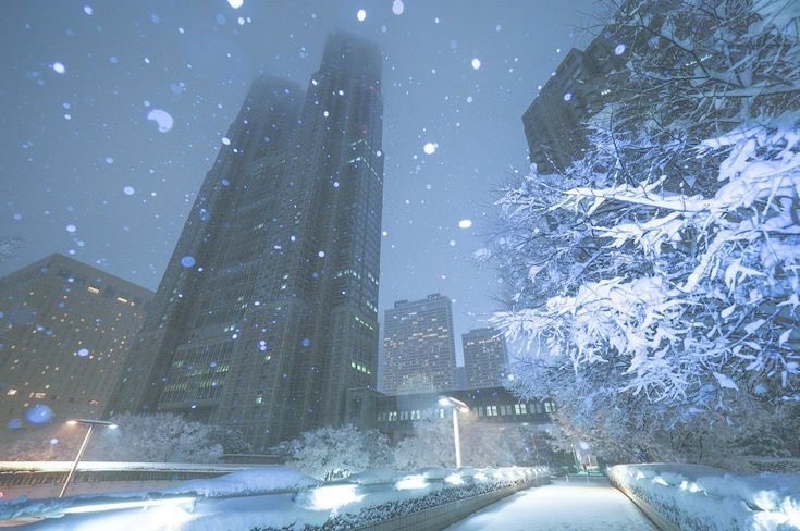 restlesscls's tweet image. ₊°｡❆ unpinning at 100lbs ⋆꙳❅*❆