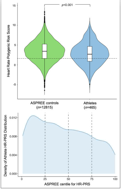 CircAHA's tweet image. Resting bradycardia and brief pauses are common and well-tolerated in endurance athletes. Fitness and genetics both shape sinus node function, and HR-polygenic risk score differences hint that genetics may help determine athleticism.ahajrnls.org/44CKDot