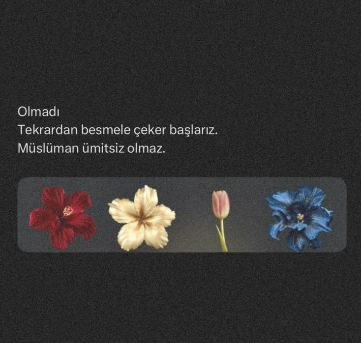 Allah yeniden başlayanların yardımcısıdır.