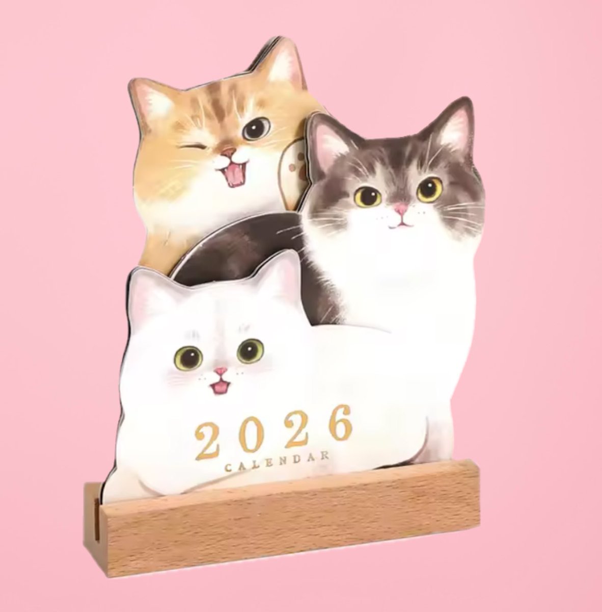 数量限定となります🙇‍♀️