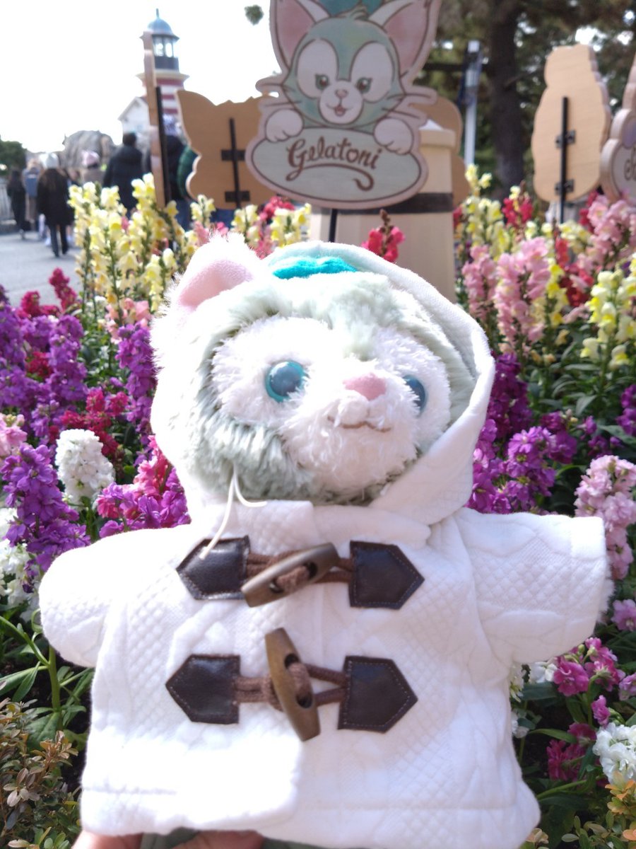 おはようございます🤗🎄.*🎁🎅🌟 わくわくカウントダウン🥰 シェリー