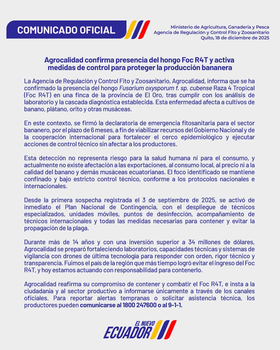 #ComunicadoOficial | Junto a <a href="/AgriculturaEc/">Agricultura, Ganadería y Pesca Ecuador 🇪🇨</a> se confirma la presencia de #FocR4T en el Ecuador en la provincia de El Oro en el cantón Santa Rosa.
La corresponsabilidad y la articulación interinstitucional son fundamentales para proteger el mejor banano del mundo.
Conoce más ⤵️
