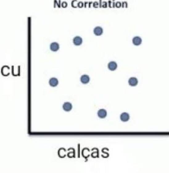 𝔑evinho e os homocoelho tweet media