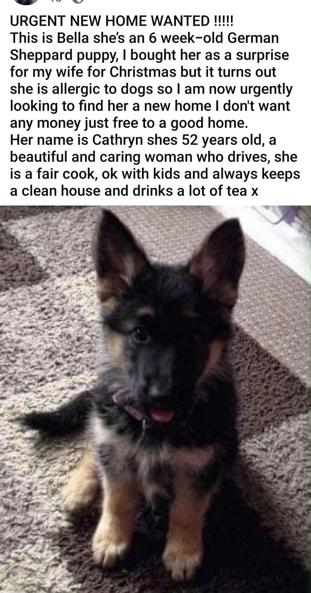 _LinziM's tweet image. Howlin at this 😂😂