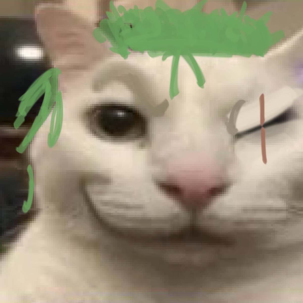 rion 🇻🇪 (@peronyawns) on Twitter photo 