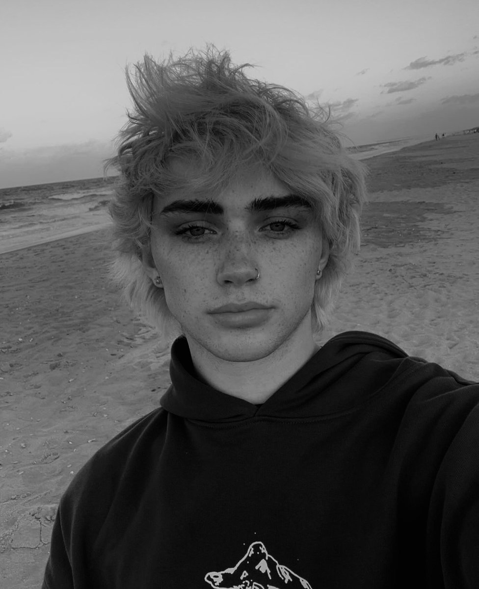 𝐃𝐫͟𝐚͟𝐜͟𝐨͟. tweet media