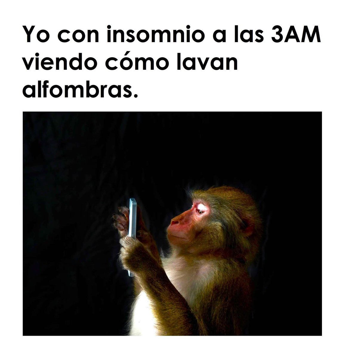 El Meme (@memessv7) on Twitter photo 