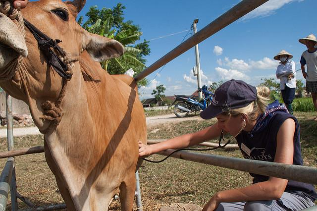 CIDRAP's tweet image. US sales of #antibiotics for livestock climbed 16% last year, FDA report shows

Expert attributes the "troubling" increase to "a failure to put in place common-sense steps.

cidrap.umn.edu/antimicrobial-…

Photo: Camelia Montoy / US Navy