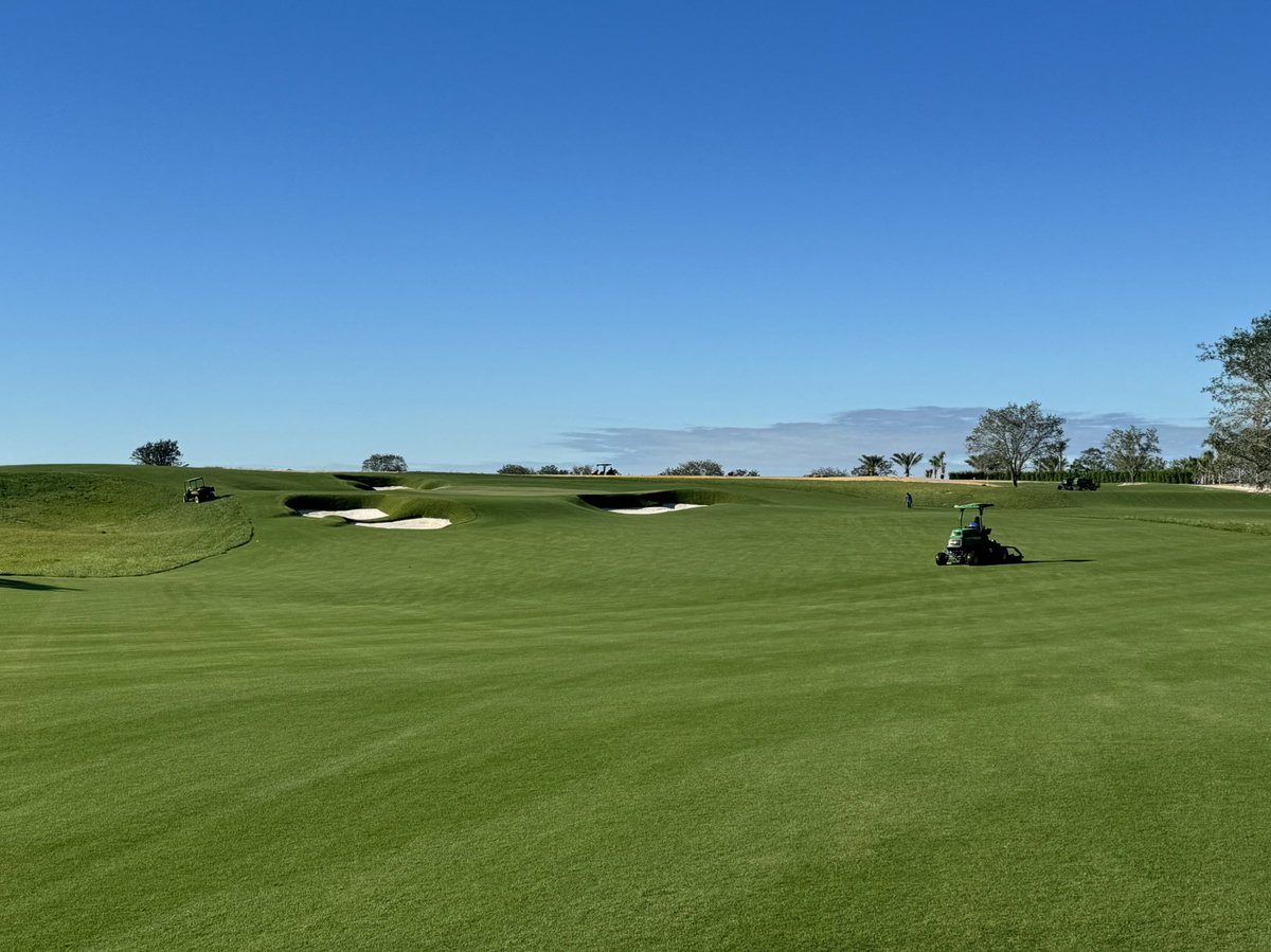 Alec Nisbet tweet media