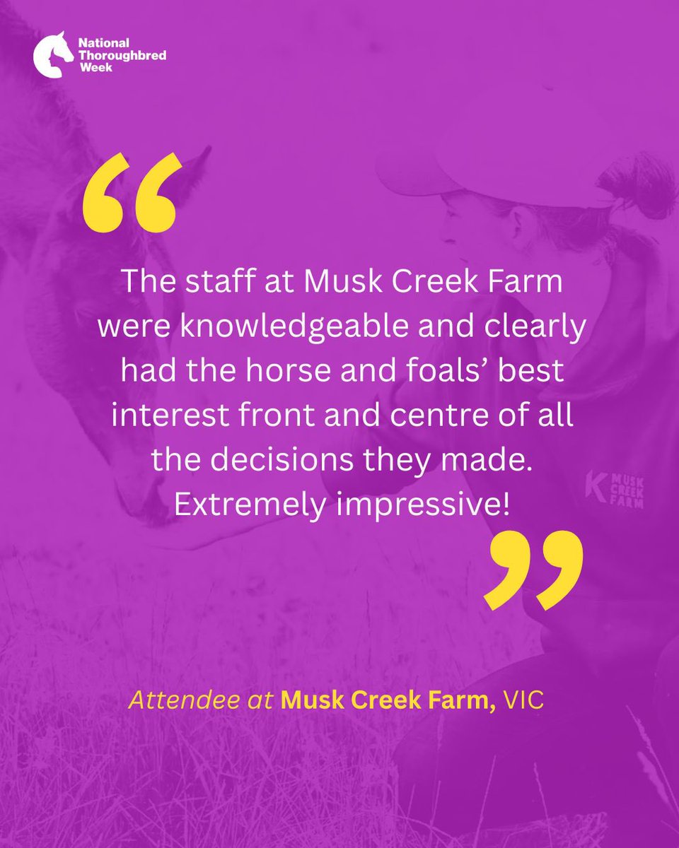 National Thoroughbred Week tweet media