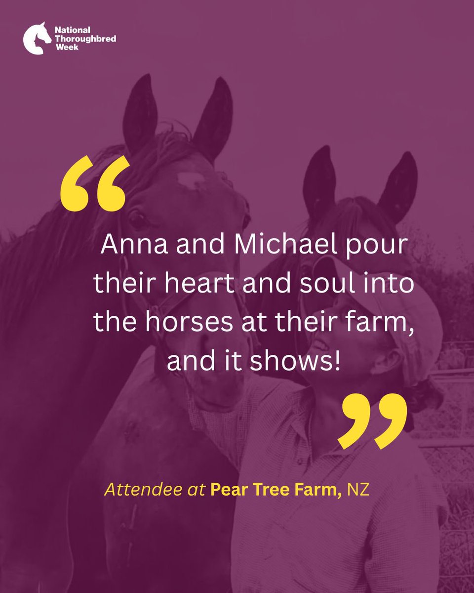 National Thoroughbred Week tweet media