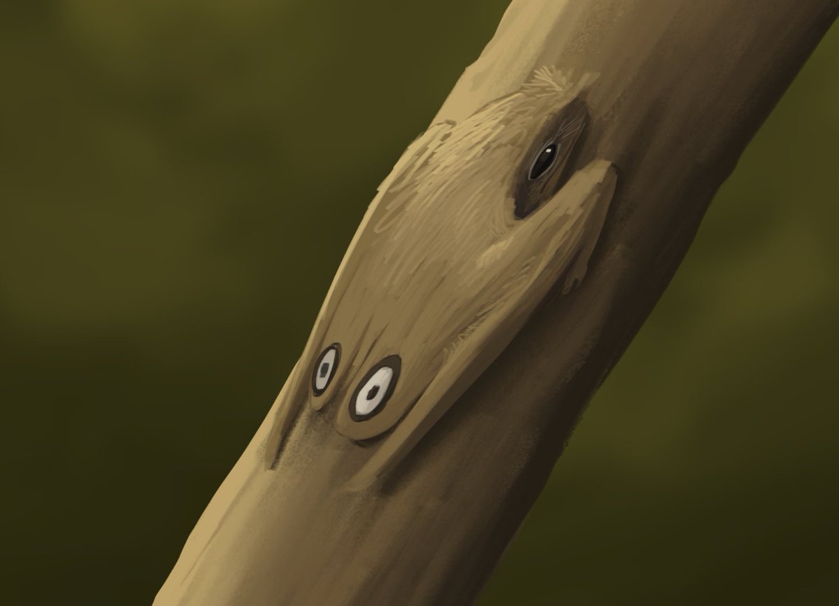 Doodle of an Anurognathid camouflaged on a branch