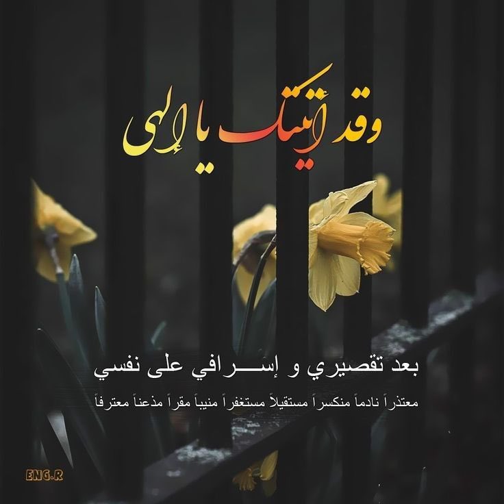 نسيم الورد tweet media