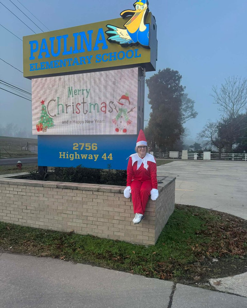 Dr. Molly Stadalis, Paulina Elementary Principal was a magical Christmas addition for students at take-in this morning! 

#ThePlaceToBe #ElfOnTheShelf