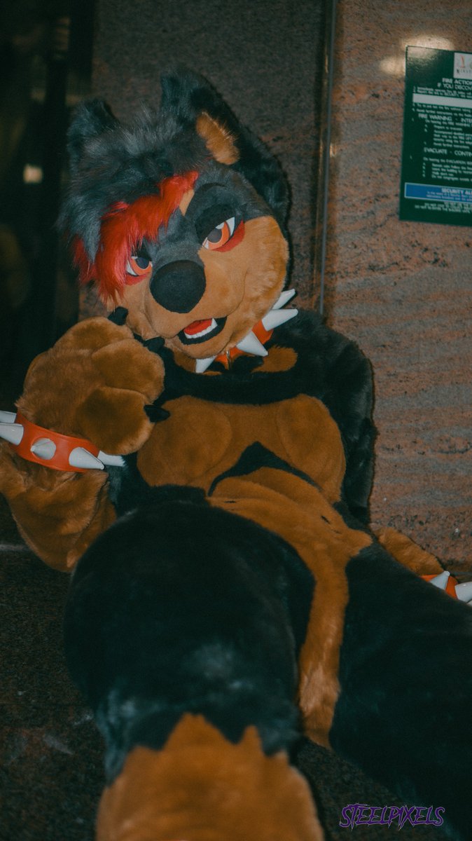 SteelPixels tweet media