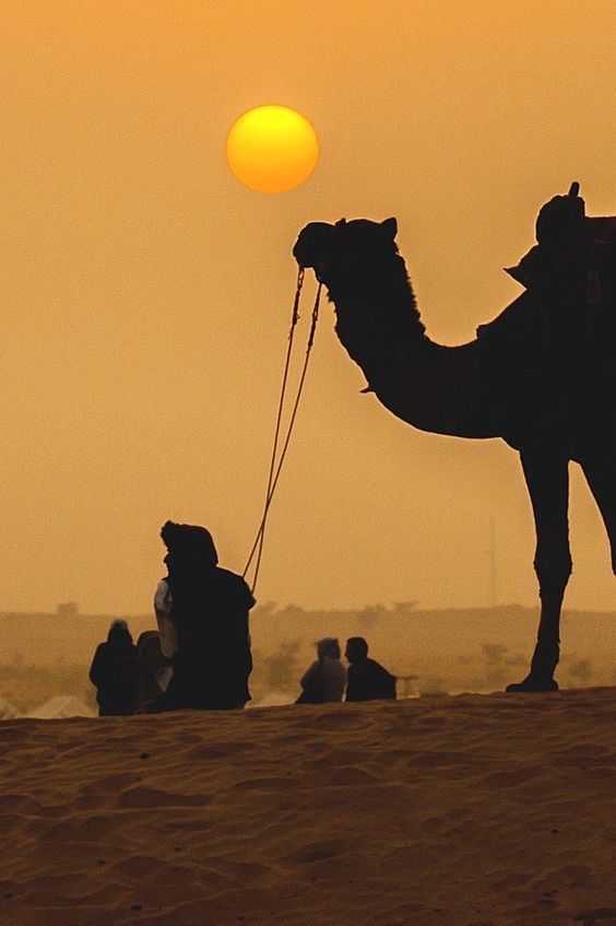 لَو تَعلَمينَ الَّذي نَلقى أَوَيتِ لَنا

أَو تَسمَعينَ إِلى ذي العَرشِ شَكوانا

كَصاحِبِ المَوجِ إِذ مالَت سَفينَتُهُ

يَدعو إِلى اللَهِ إِسراراً وَإِعلانا

يا أَيُّها الراكِبُ المُزجي مَطِيَتَهُ

بَلِّغ تَحِيَّتَنا لُقّيتَ حُملانا

#جرير💎