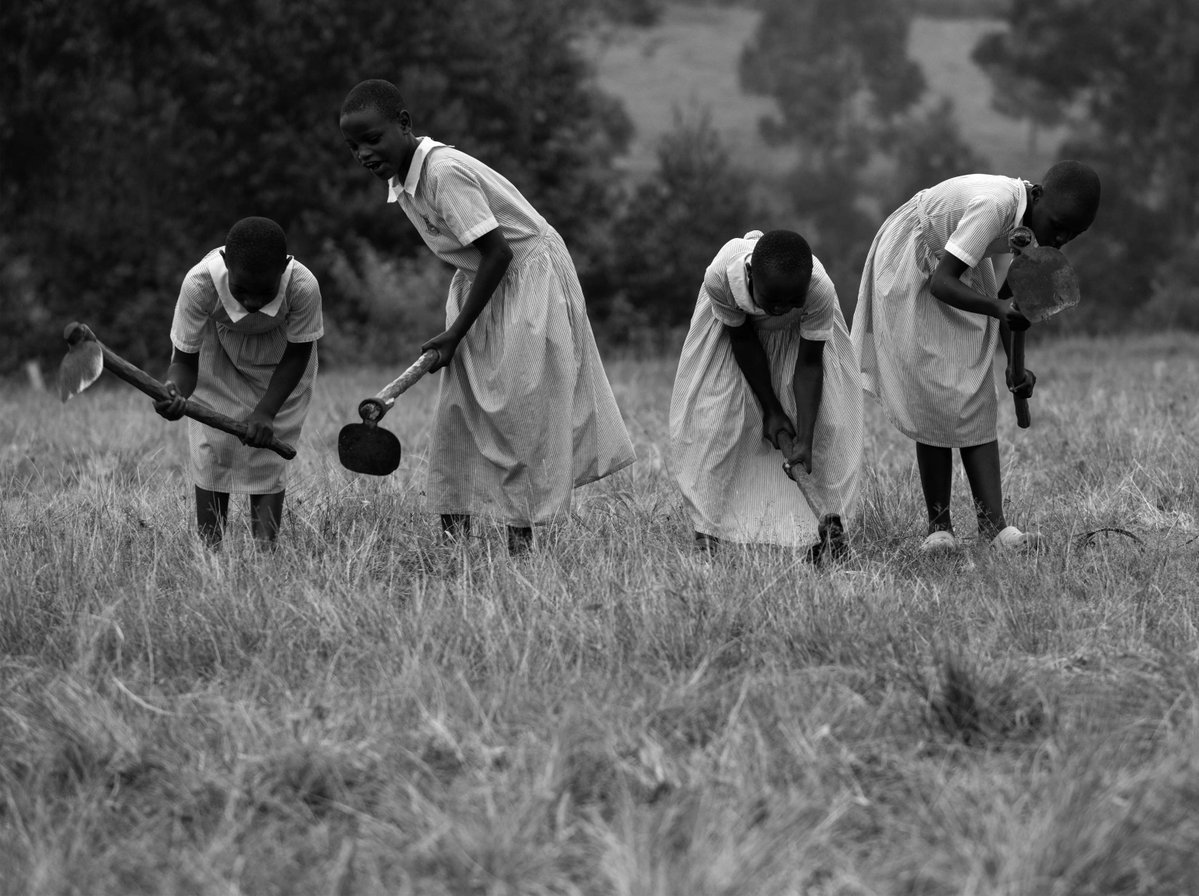 AMGINTL's tweet image. ✨ This is a season of harvest.
Lives are being changed. Hearts are opening. Communities are being transformed.
Let’s not miss it.
Will you help us reach our $150,000 goal?

amginternational.org/project/Worldw…