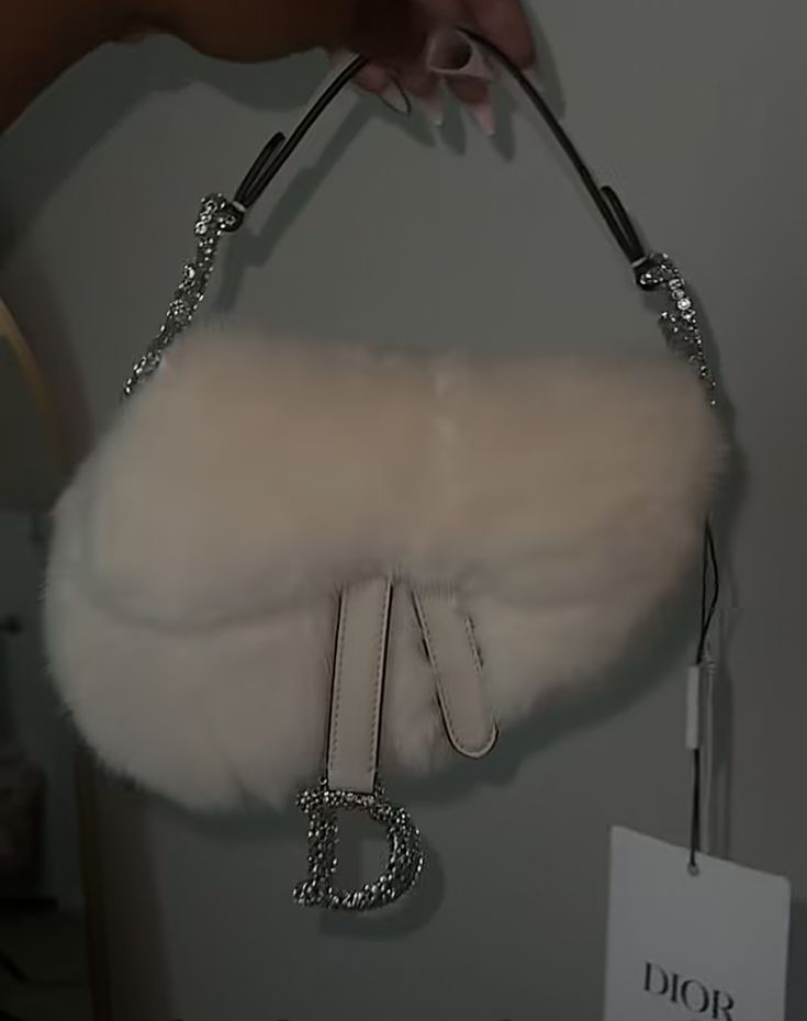 Dior saddle bag