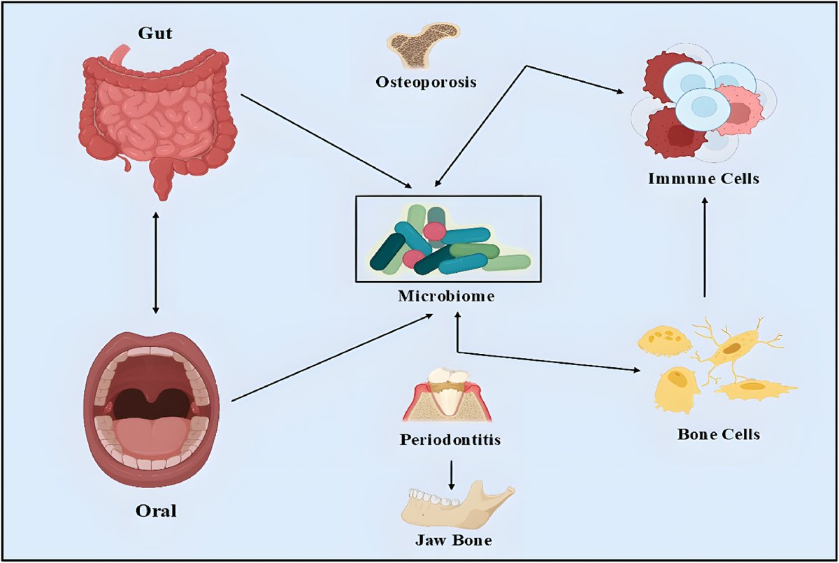 Differentiation Journal tweet media
