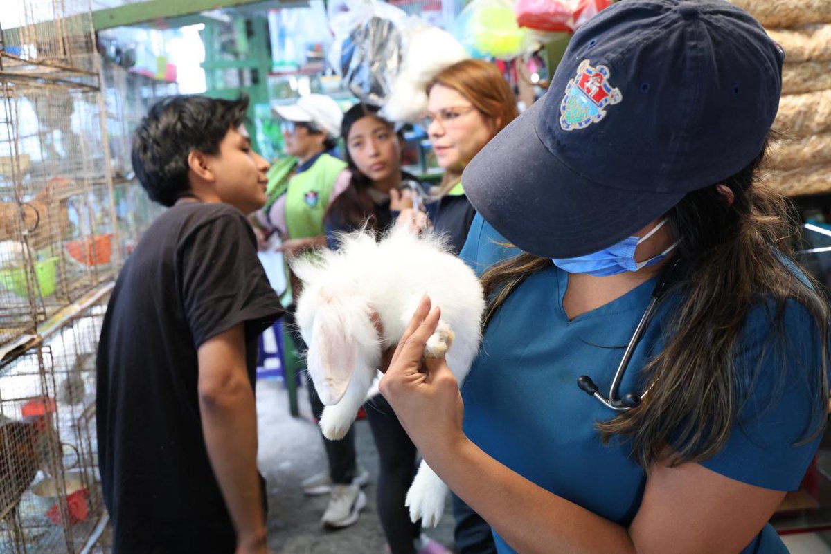 Escuchamos las denuncias.
Fuimos al lugar.
Actuamos.

En el mercado La Florida, zona 19, rescatamos aves exóticas, animales de granja y tortugas que eran vendidos ilegalmente y en condiciones inadecuadas.

Hoy están a salvo y bajo cuidado especializado.

Porque los animales no